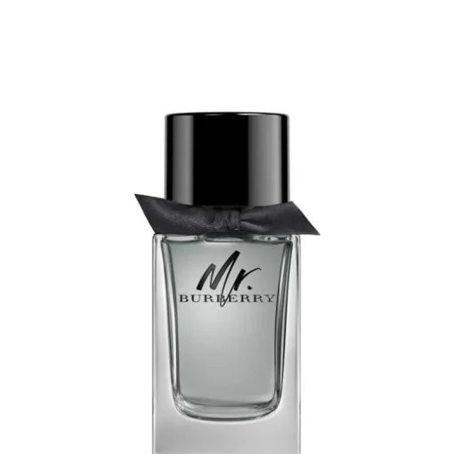 Mr Burberry EDT