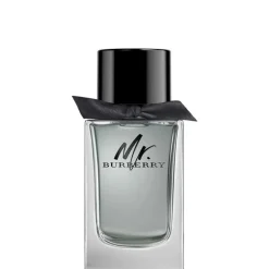 Mr Burberry EDT