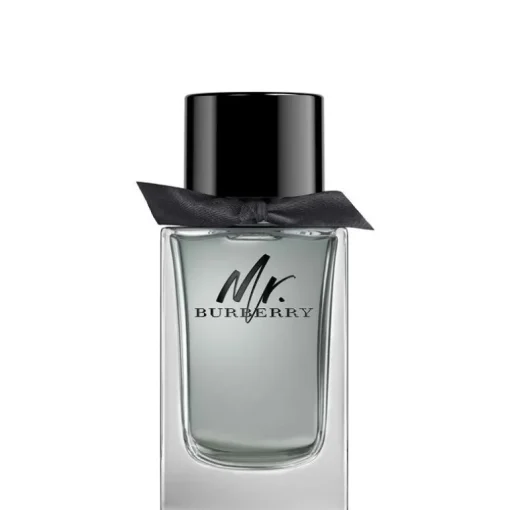 Mr Burberry EDT