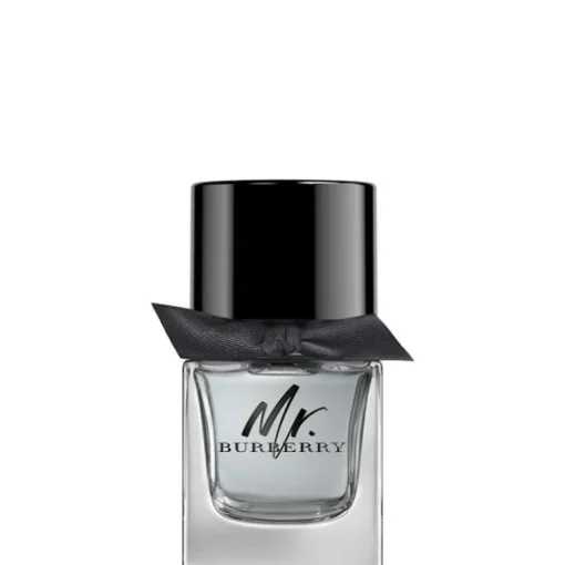 Mr Burberry EDT