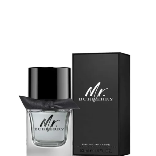 Mr Burberry EDT