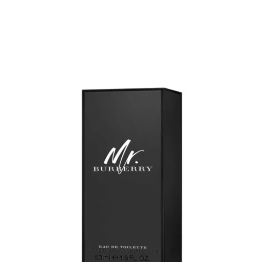 Mr Burberry EDT
