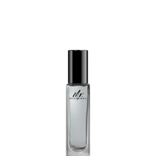 Mr Burberry EDT