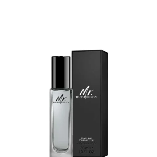 Mr Burberry EDT
