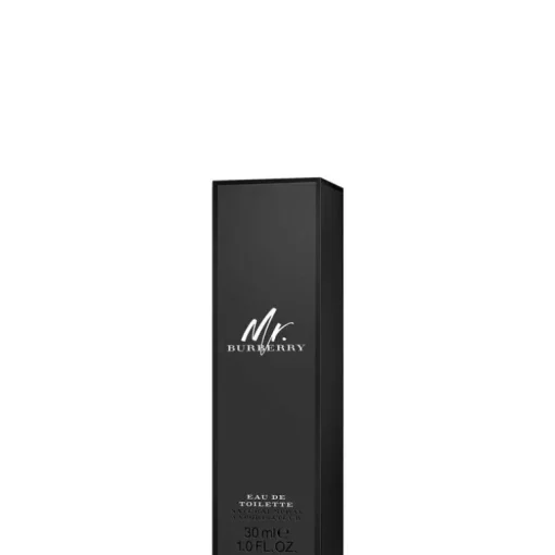 Mr Burberry EDT