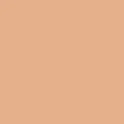 Polvere Compatta Per Occhi Pearl Satin
