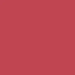 Pure Color Lipstick