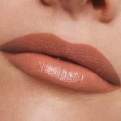 Pure Color Lipstick