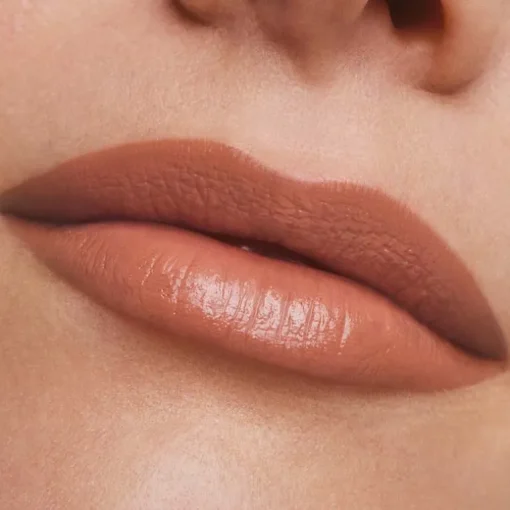 Pure Color Lipstick