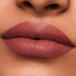 Pure Color Lipstick