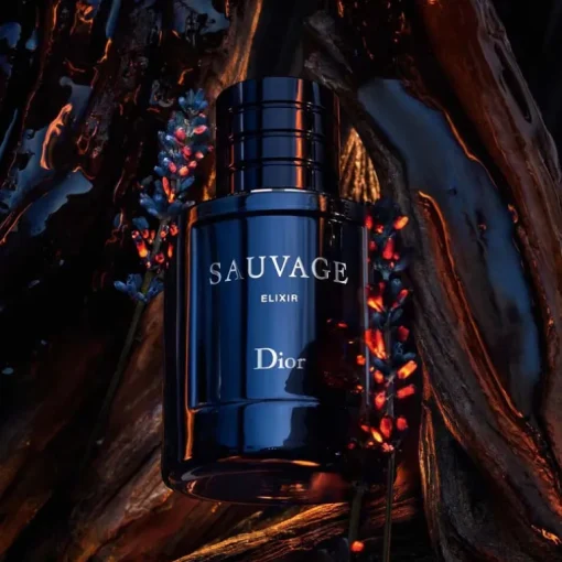 Sauvage Elixir