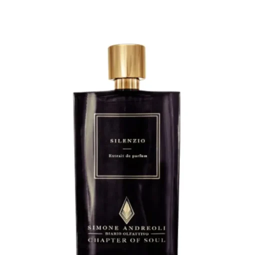 Simone Andreoli Silenzio