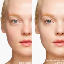 Synchro Skin Self-Refreshing Tint