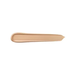 Teint Idole Ultra Wear All Over Concealer