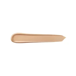 Teint Idole Ultra Wear All Over Concealer
