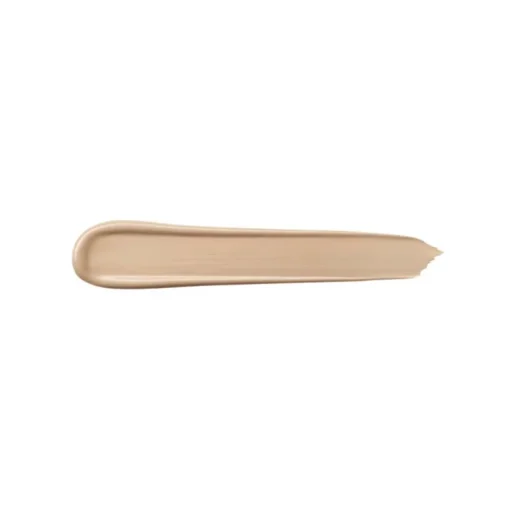 Teint Idole Ultra Wear All Over Concealer