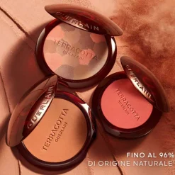 Terracotta Blush