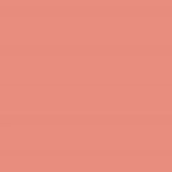 Terracotta Blush