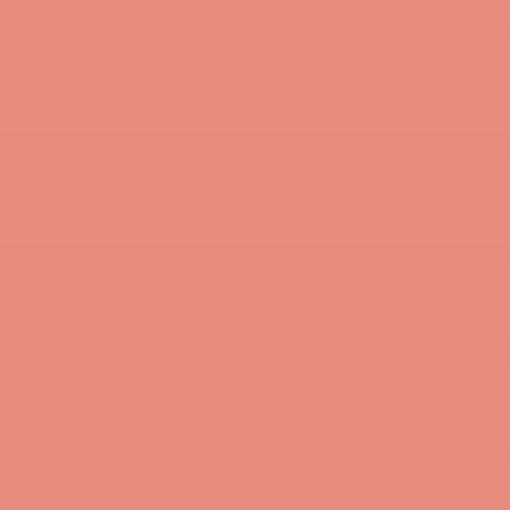 Terracotta Blush