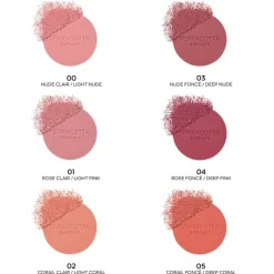 Terracotta Blush