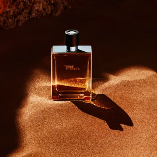 Terre D'Hermes Eau de Toilette