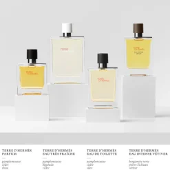 Terre D'Hermes Eau de Toilette