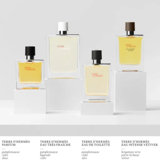 Terre D'Hermes Eau de Toilette