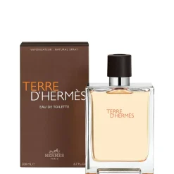 Terre D'Hermes Eau de Toilette