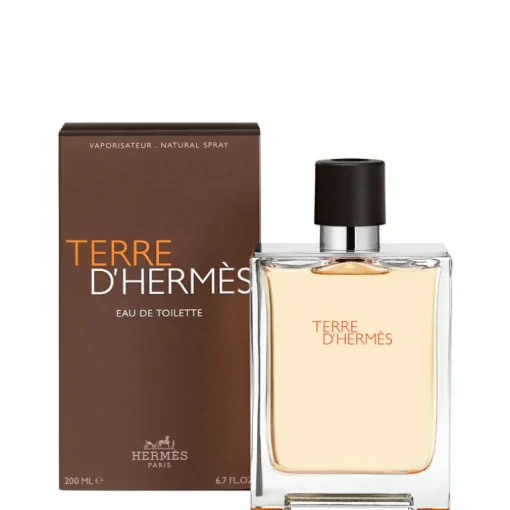 Terre D'Hermes Eau de Toilette