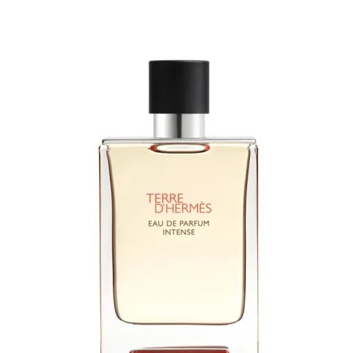 Terre d'Hermès Eau de Parfum Intense
