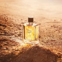 Terre d'Hermès Eau Intense Vetiver
