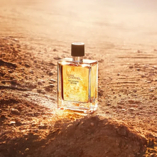 Terre d'Hermès Eau Intense Vetiver