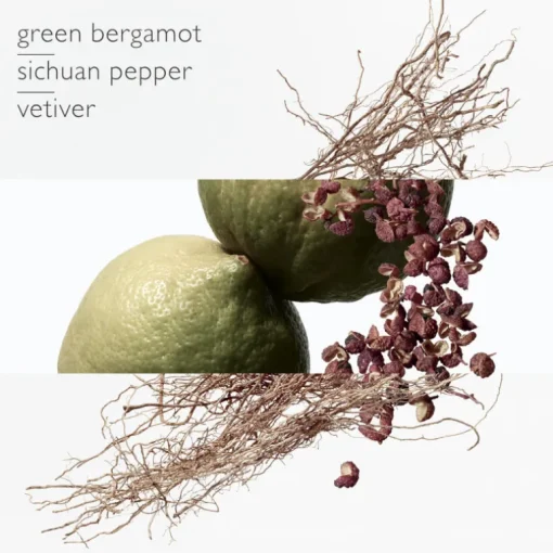 Terre d'Hermès Eau Intense Vetiver