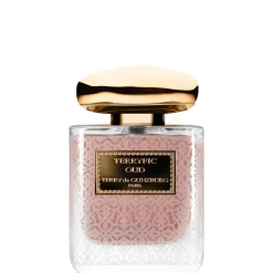 Terryfic Oud EDT 100 ML