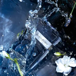 Y Men EDT New