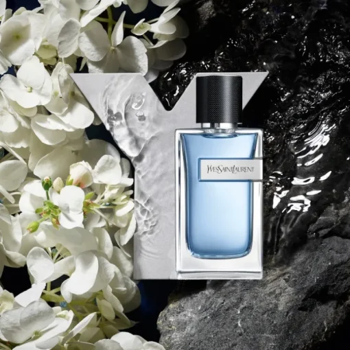 Y Men EDT New