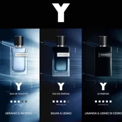Y Men EDT New