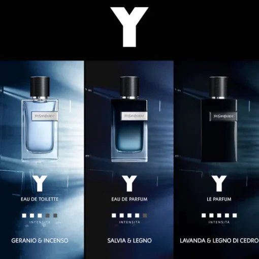 Y Men EDT New